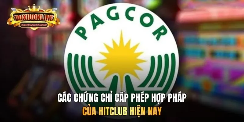 Các chứng chỉ cấp phép hợp pháp của nền tảng hiện nay