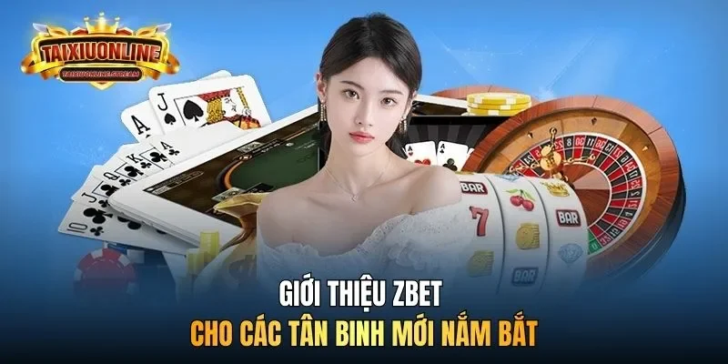 Giới thiệu Zbet cho các tân binh mới nắm bắt